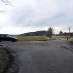 Very bold next to a road