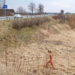 Very bold next to a road