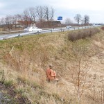 Very bold next to a road