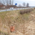 Very bold next to a road