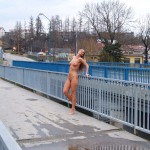 Very bold next to a road