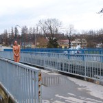 Very bold next to a road