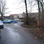 Very bold next to a road