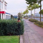 On a parking lot and a commercial area