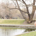 In a park and a bar close by