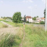 On a path next to the street