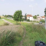 On a path next to the street