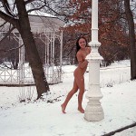 In a snow covered park