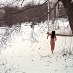 In a snow covered park