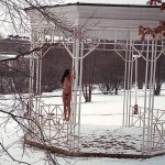 In a snow covered park