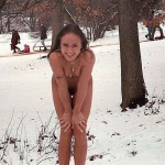 In a snow covered park