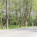 Excursions to the city