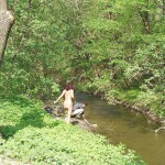 Excursions to the city