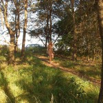 Several different places