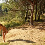 Several different places