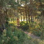 Several different places