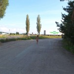 Several different places