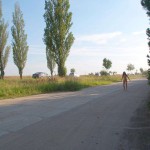 Several different places