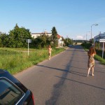 Several different places