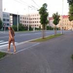 Several different places