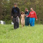 At a holiday home and in a bar with some friends