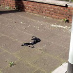 Stripping while walking on a street