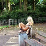 Tied on a park bench