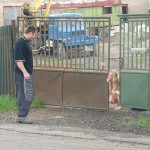 In front of and inside a car repair