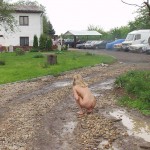 In front of and inside a car repair