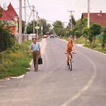 In a residential area