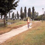 In a residential area