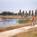 In a residential area