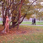 In a park during fall season