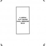 A Certain Flat Chested Railgun Book