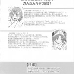 Toaru Kuroko no Mikoto Kanzen Kouryaku