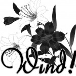 Wind!