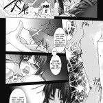 Beat Blades Haruka Book of the Heart