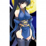 Beat Blades Haruka Book of the Heart