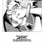 BREAK BLUE STRAY CAT EXTEND