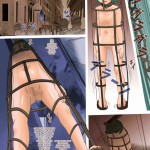 S-DOG Choubatsu Hari no Batsu – Full Color Ban