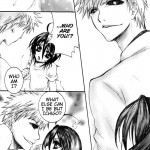 Rukia Kuchiki Minimum Maniax File