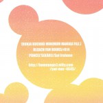 Rukia Kuchiki Minimum Maniax File