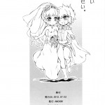 It is the Vice President is Responsibility!