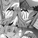 Succubus and Shounen