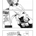 The Female Warrior is Secret