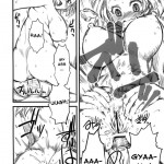 iis interactive IN-NYO system