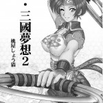 In Sangoku Musou 2