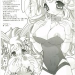 Dragon Quest VIII Sora to Umi to Daichi to Norowareshi Himegimi