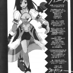 FF Ninenya Kaisei Han