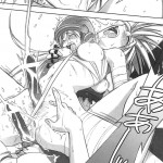 FF Ninenya Kaisei Han